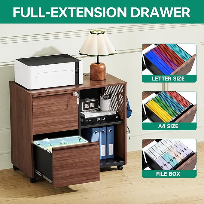 Letaya Mobile 2 Drawer File Cabinet with Lock, Metal Lateral Printer Stand Filing Storage Cabinets with Shelves for Home Office-A4/F4/Letter (Charging Socket)