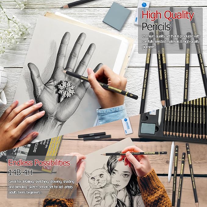 PANDAFLY 20-Piece Professional Sketch Pencil Set - Includes 4H to 14B Graphite Pencils, Charcoal Sticks, Vinyl Eraser, Kneaded Eraser, Sharpener, Blending Stump - Ideal for Artists and Beginners