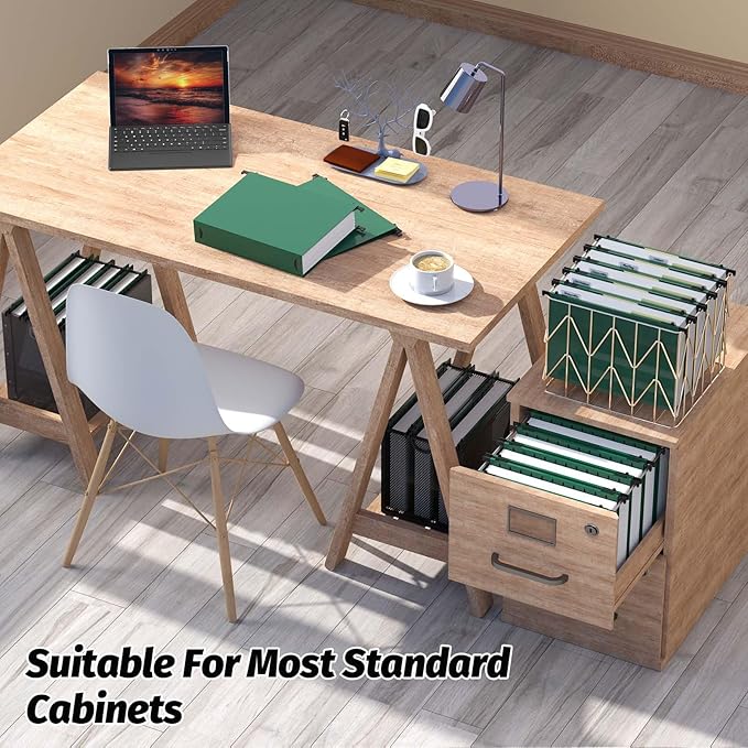 Extra Capacity Plastic Hanging File Folders,12 Pack Reinforced Hang Folder,Heavy Duty 2 Inch Expansion,Plastic Filing Cabinet Folders,Letter Size,Designed for Bulk Files, Medical Charts (Green)