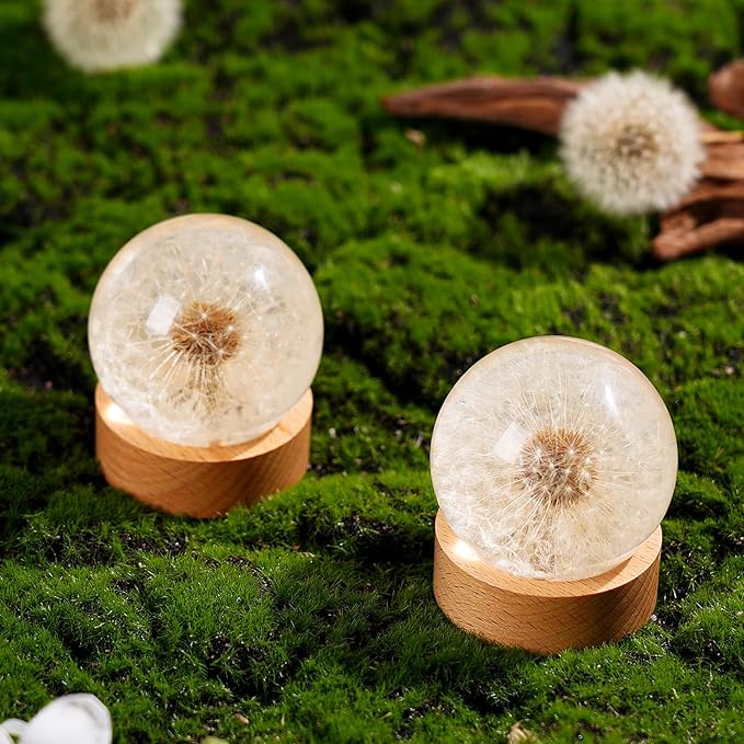 Dandelion Resin Paperweight – Real Dandelion Wish Ball, Unique Home & Office Decor, Symbol of Luck & Appreciation, A Thoughtful Gift & Keepsake for Birthdays, Weddings & Graduations