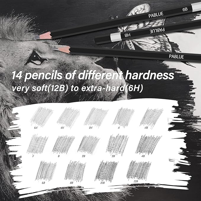 Professional Triangular Drawing Sketching Pencil Set,6H,4H,2H,H,HB,F,B,2B,3B,4B,6B,8B,10B,12B Graphite Shading Pencils for Beginners,ProArtists,Drawing,Drafting,Sketching,Shading(14 Pcs)