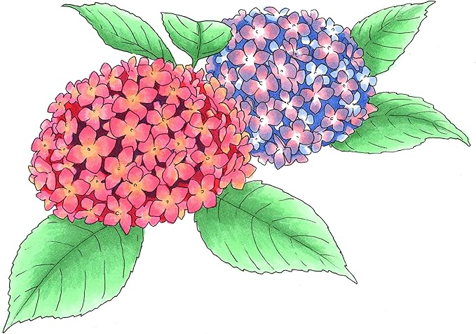 Copic Sketch Alcohol Markers, 6 Color Dual Tip Art Marker Set – Blendable Brush Tips for Drawing, Sketching, and Illustration – Professional Set for Adults/Teen Artists & Creators - Floral Favorites 2