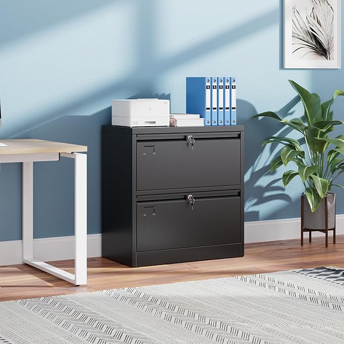 METAN Upgrade Metal 2 Drawer Lateral Files Cabinet for Home Office, Lockable Steel Wide File Storage Cabinet for Hanging Legal/Letter A4 Size, Assembly Required, Black