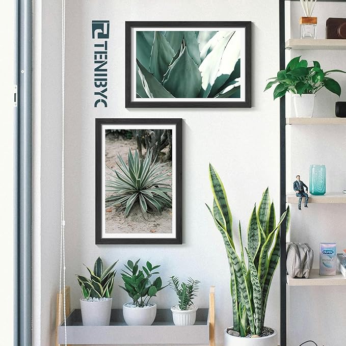 12x18 Poster Frames Set - 3 Pack - Black Solid Wood Picture Frame - Tempered Glass - Exclusive Woodgrain - Rooms, Offices, Gallery, Studio, and Hallway, Wall Display Decor