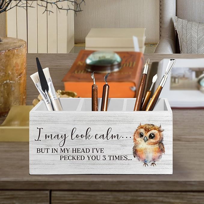 Owl Funny Pen Pencil Holder Organizer for Desk Accessories, I May Look Calm Funny Wooden Box Sign Desk Decor for Home Office Decoration, Owl Lovers Gifts for Women