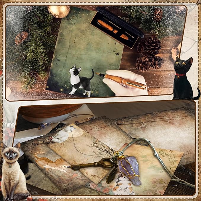 TaoBary 160 Pcs Stationery Paper Set 50 Double Sided Stationery Papers with 50 Matching Envelopes and 60 Round Dot Sticker, 10 Design(Kitten,8.5 x 11 Inch)