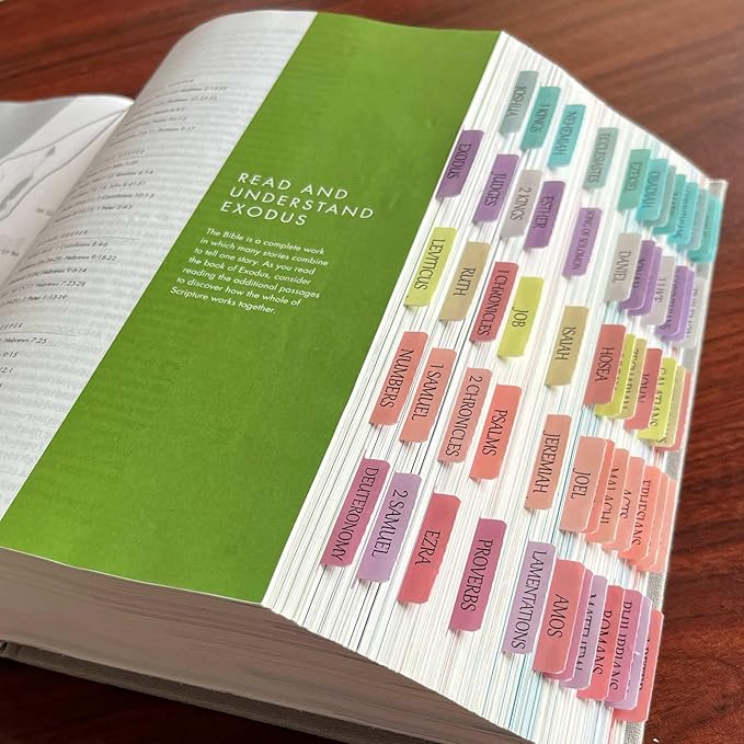 Reposition Large Text Bible Tabs, Contrast Color Bible Stickers for Women and Men, Easy to Read and Apply Bible Journaling Tabs (Bright Pastel)