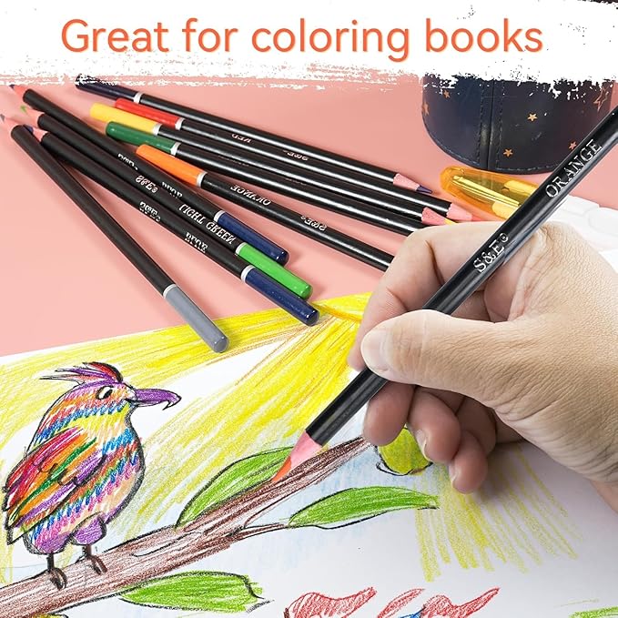 S & E TEACHER'S EDITION Colored Pencils 240Pcs, Pre-sharpened Super Soft Core Lead, Kid's Colored pencils,In Drawing Pencils, Woodcase Lead, Bulk Back to School Supplies