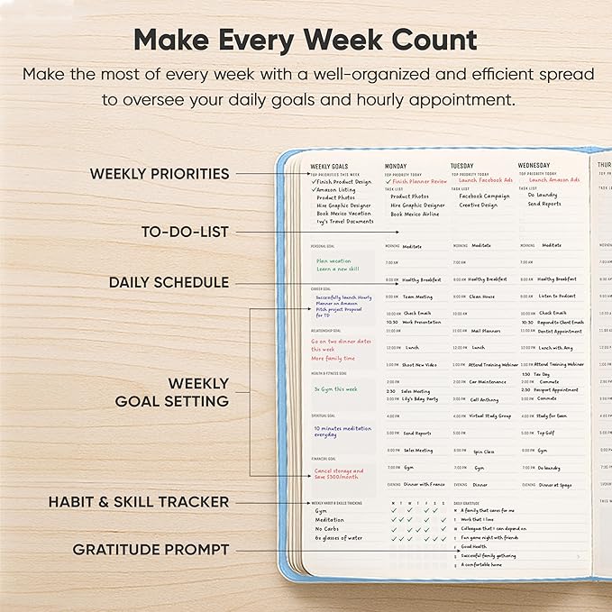 Hourly Planner & Appointment Book (8.5” x 11”) - Premium Hourly Planner with Daily Schedule & 30-Minute Time Slots for Better Time Management by PRODUCTIVITY STORE (A4, Blue)
