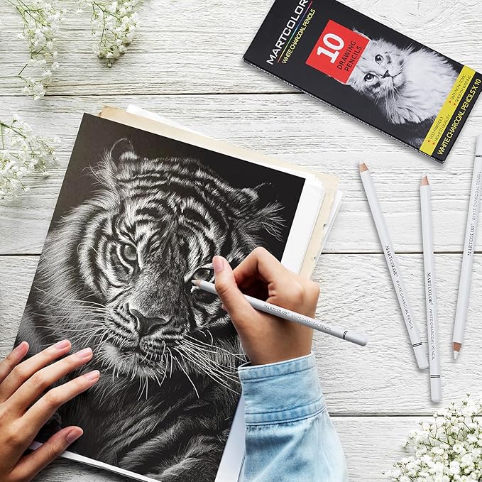 Professional White Charcoal Pencils Set, 10 Pieces Sketch Highlight Charcoal Pencils for Drawing, Sketching, Shading, Blending, White Chalk Pencils for Beginners & Artists
