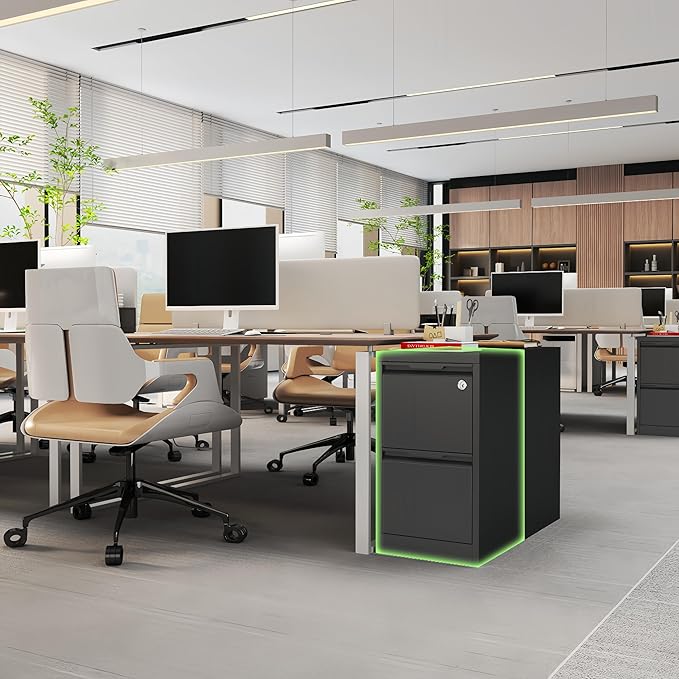 2-Drawer File Cabinet with Lock,Metal Vertical Filing Cabinets for Home Office,Under Desk File Cabinets for Letter/Legal/A4 Size Files,Easy Assemble,Black