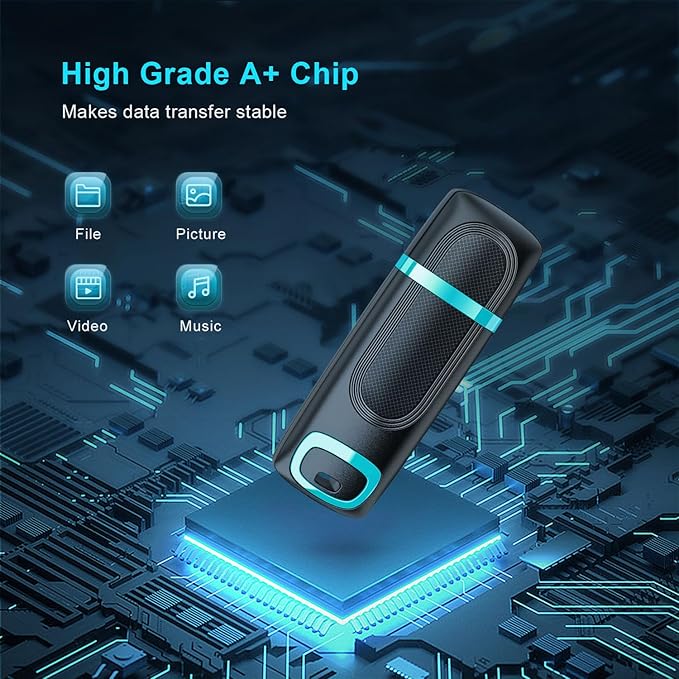 RAOYI 64GB USB 3.0 Flash Drive Thumb Drive High Speed Memory Stick Jump Drive Portable Zip Drive for PC Laptop Backup