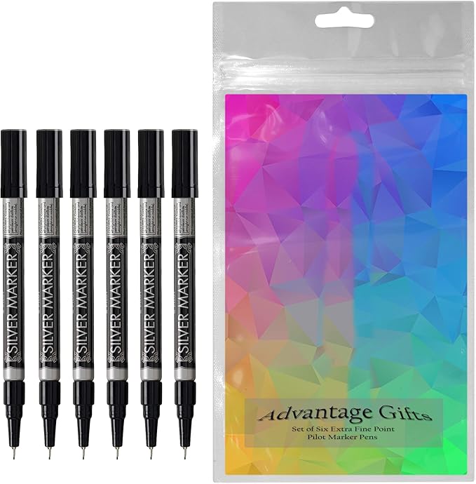 Metallic Permanent Paint Markers, Silver, Extra Fine Point (0.5mm), 6 Count, Bundle with Plastic Reusable Pouch