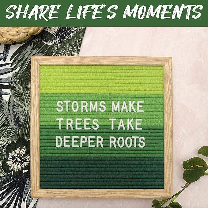 Felt Like Sharing Square Letter Board (Green Felt - 10”x10”) – Changeable Message Board with 3 Sets of Felt Board Letters – Statement Wall Sign for Quotes, Home or Holiday Decor In Oak Frame