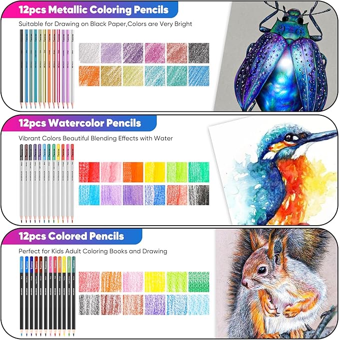 Taotree 81 Pack Art Supplies for Adults Kids Teen Artists Gifts, Pro Art Kit Drawing Pencils Set, Drawing Supplies Sketching Kit Sketch Book, Colored Graphite, Watercolor, Metallic, Charcoal Pencils