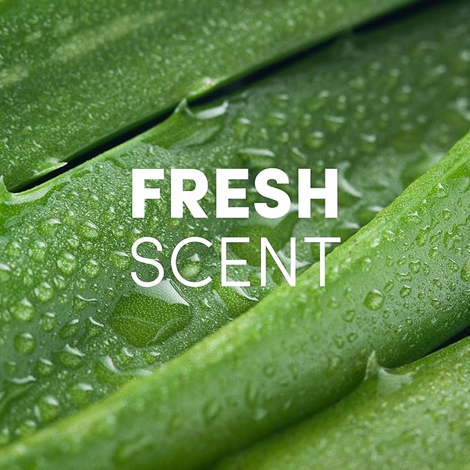 Clean Revolution Foaming Hand Sanitizer, 128 Fl. Oz Refill Supply Container | Eliminates 99.9% of Germs |Gentle & Aloe Enriched | 70% USP Medical Grade Ethanol, Medical Facility Compliant