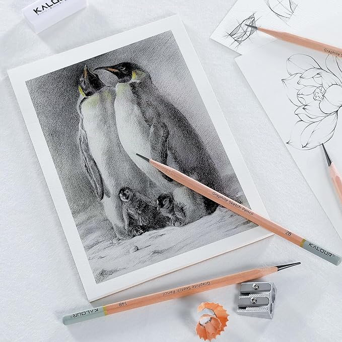 KALOUR 18-Piece Professional Sketch Pencil Set - Includes 5H to 14B Pencils, Vinyl Eraser, Kneaded Eraser,Sharpener and Paper Blending Stump - Ideal for Artists and Beginners