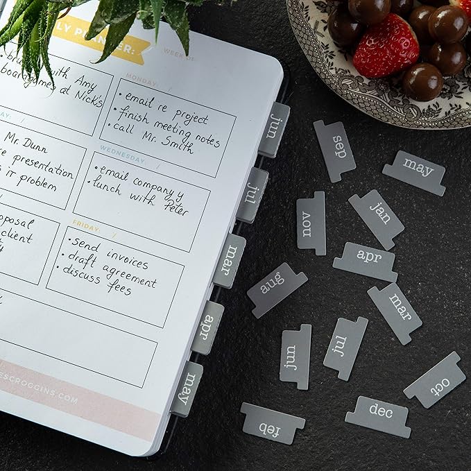 DiverseBee Laminated Planner, 24 Peel and Stick Tabs (12 Month, 12 Blank), Retro Monthly Dividers