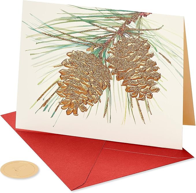 Papyrus Holiday Cards Boxed with Envelopes, Wonderful Year to Come, Pinecones (14-Count)