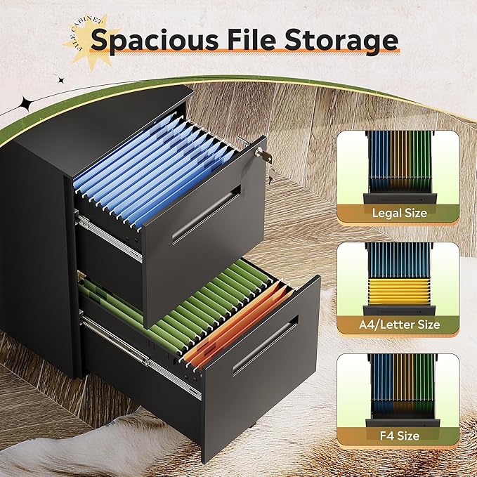 DEVAISE 2-Drawer Metal File Cabinet with Lock, Mobile Filing Cabinet Under Desk for Home Office, Fully Assembled Printer Stand fits F4/A4/Letter/Legal Size, Black, 20" D x 15" W x 27" H