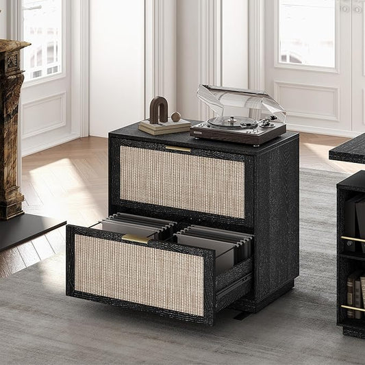 2 Drawer Rattan File Cabinet, 32'' Lateral File Cabinet for Legal/Letter/A4/F4 Size Hanging Files, Wood File Storage for Home Office, Black