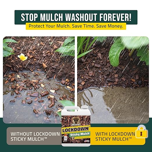PetraMax Lockdown Sticky Mulch Glue (1 Gal) for Landscaping Bundle with HD101 1 Gallon Pump Garden Sprayer for Easy Hold Landscape