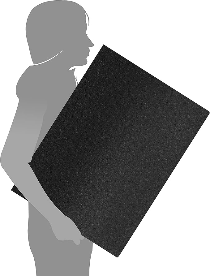 Presentation Book 40 Clear Pockets Sleeves Protectors Art Portfolio Clear Book for Artwork, Report Sheet, Letter (Can Accommodate 24.2 X 18.4inch)