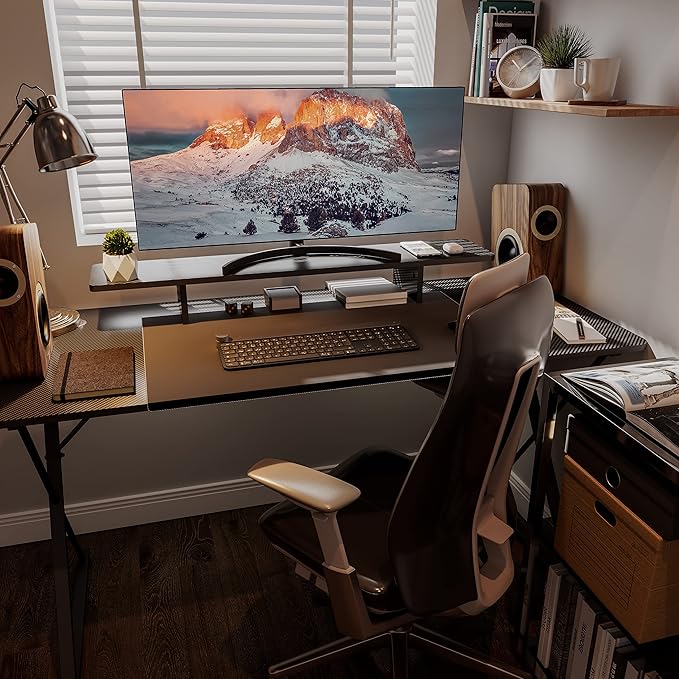 EUREKA ERGONOMIC Dual Monitor Stand - Adjustable Legs, Dual Monitor Riser, Carbon Fiber Computer Monitor Stand, Desktop Organizer, Monitor Stand Riser for PC, Computer, Laptop (Black)