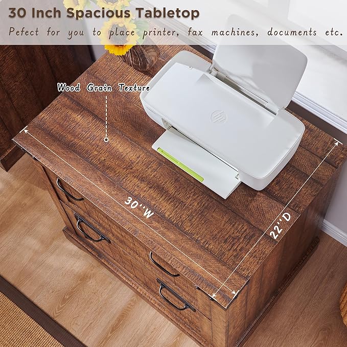 RedLemon File Cabinet with 2 Drawers, Farmhouse 30" Filing Cabinets with Hanging File Folders for A4/Letter/Legal Size Documents,Office Storage Cabinet for Living Room(Reclaimed Barnwood Color)