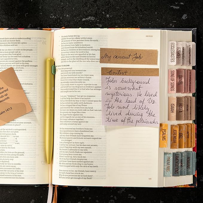 DiverseBee Pastel Sticky Notes Set, Cute Sticky Notes, Aesthetic Self-Stick Note Pads, Sticky Tabs, Page Flags, Planner Accessories, Journaling Office School Bible Study Supplies (Prothea)