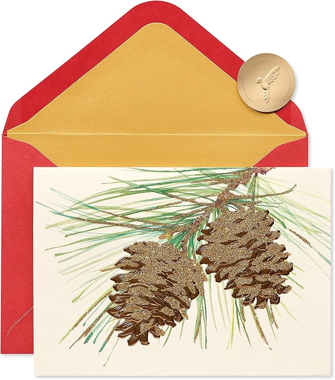 Papyrus Holiday Cards Boxed with Envelopes, Wonderful Year to Come, Pinecones (14-Count)