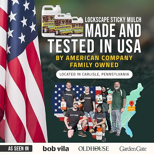 Lockscape Sticky Rock or Sticky Mulch Glue for Landscaping with Sprayer 1 Gallon, Max Rock Glue for Landscape & PetraTools HD101 Bundle, Lockdown Gravel or Mulch for Landscaping Hold (Mulches)